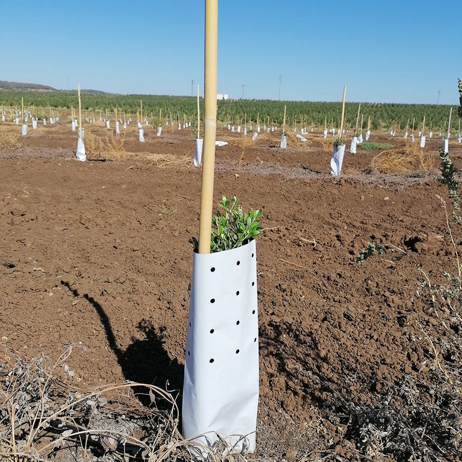 Funda B/N 60 x 15 cm 600 galgas perforado