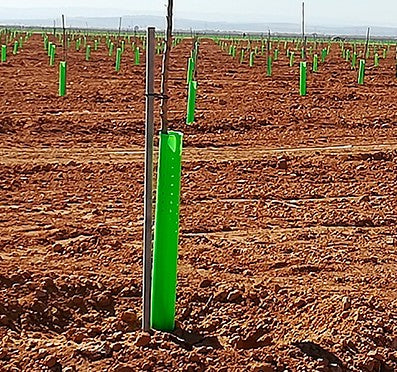 Tubo doble capa perforado 60 cm
