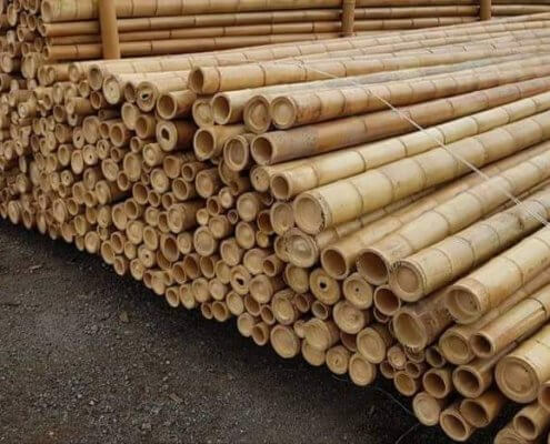 Bambú de decoración 3,0 m Ø 120/125 mm