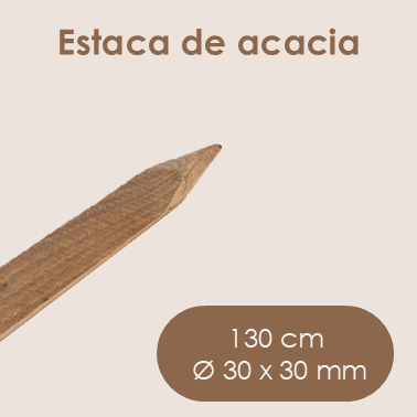 Estaca de Acacia 1,3 m Ø30x30 mm