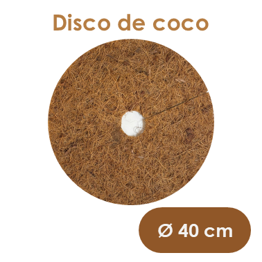 Disco de coco Ø 40 cm