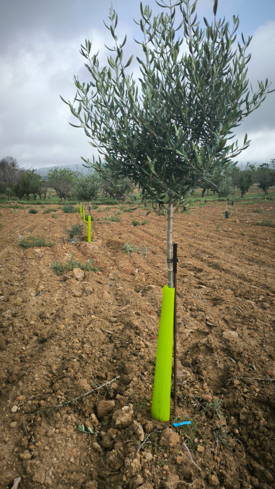 Tubo ECO 28 60 x 10 cm