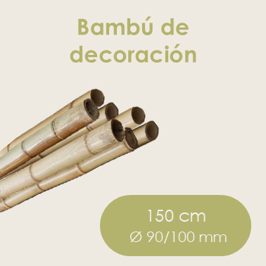 Bambú de decoración 1,5 m Ø 90/100 mm