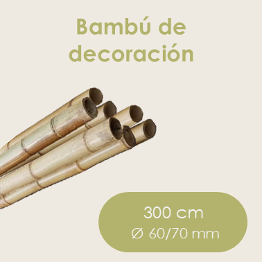 Bambú de decoración 3,0 m Ø 60/70 mm